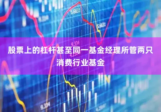 股票上的杠杆甚至同一基金经理所管两只消费行业基金